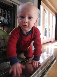 baby in dishwasher.JPG